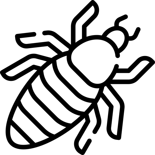 piojo animado